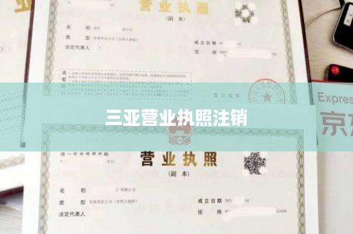 三亚营业执照注销