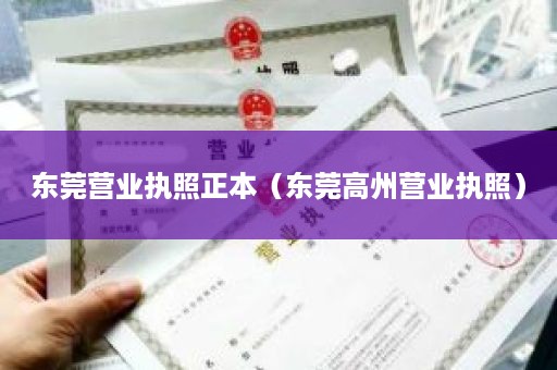 东莞营业执照正本（东莞高州营业执照）