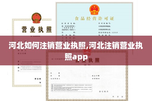 河北如何注销营业执照,河北注销营业执照app