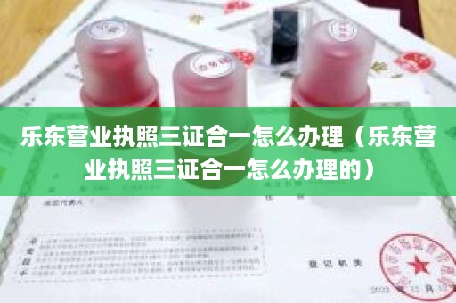 乐东营业执照三证合一怎么办理（乐东营业执照三证合一怎么办理的）