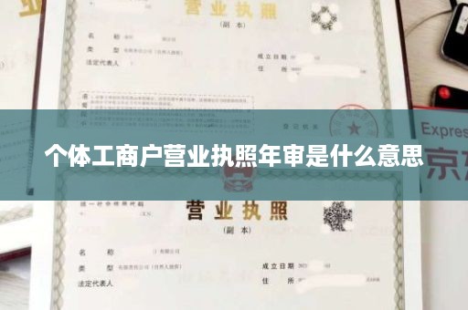 个体工商户营业执照年审是什么意思