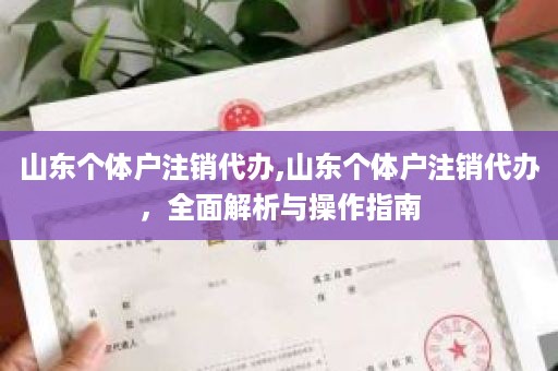 山东个体户注销代办,山东个体户注销代办，全面解析与操作指南