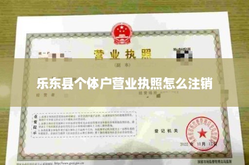乐东县个体户营业执照怎么注销