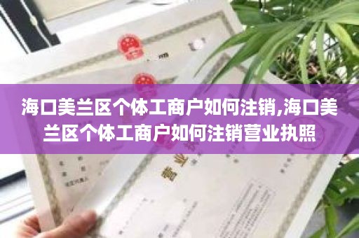 海口美兰区个体工商户如何注销,海口美兰区个体工商户如何注销营业执照