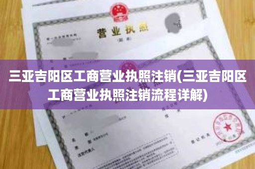 三亚吉阳区工商营业执照注销(三亚吉阳区工商营业执照注销流程详解)