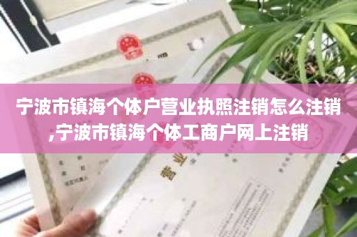 宁波市镇海个体户营业执照注销怎么注销,宁波市镇海个体工商户网上注销