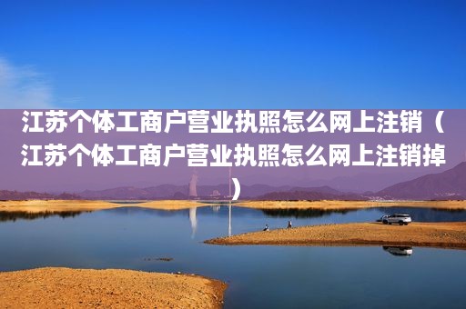江苏个体工商户营业执照怎么网上注销（江苏个体工商户营业执照怎么网上注销掉）