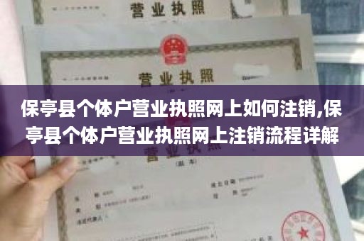 保亭县个体户营业执照网上如何注销,保亭县个体户营业执照网上注销流程详解
