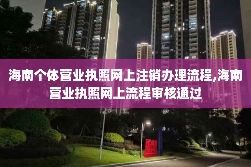 海南个体营业执照网上注销办理流程,海南营业执照网上流程审核通过