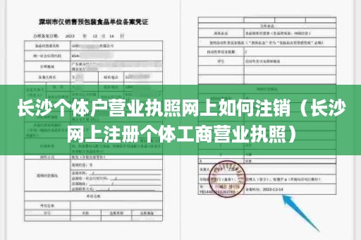 长沙个体户营业执照网上如何注销（长沙网上注册个体工商营业执照）