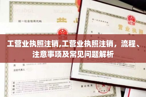 工营业执照注销,工营业执照注销，流程、注意事项及常见问题解析