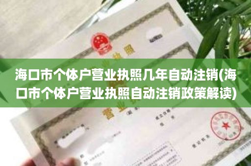 海口市个体户营业执照几年自动注销(海口市个体户营业执照自动注销政策解读)