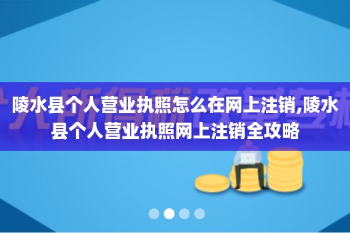 陵水县个人营业执照怎么在网上注销,陵水县个人营业执照网上注销全攻略