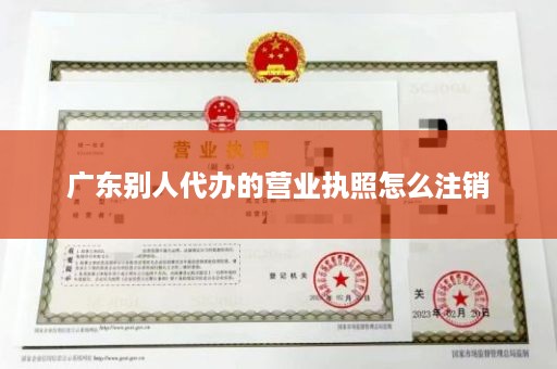 广东别人代办的营业执照怎么注销