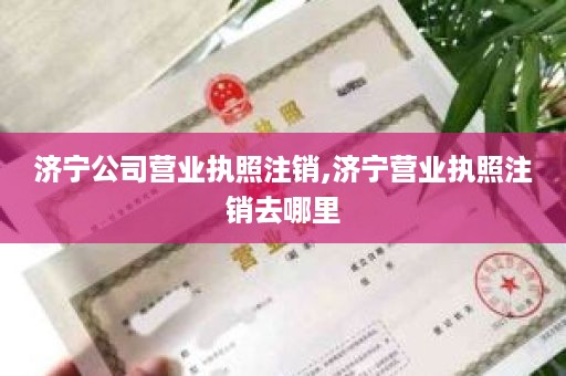济宁公司营业执照注销,济宁营业执照注销去哪里