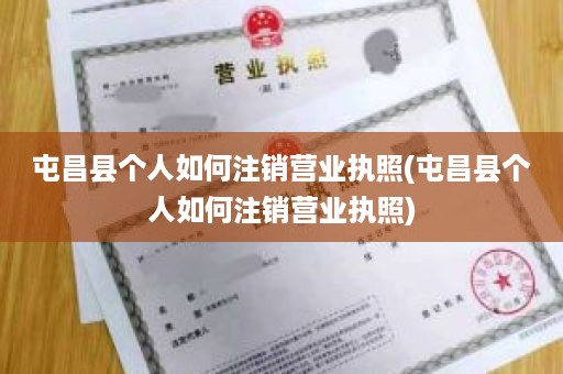 屯昌县个人如何注销营业执照(屯昌县个人如何注销营业执照)