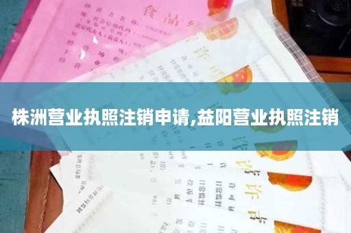 株洲营业执照注销申请,益阳营业执照注销
