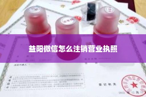 益阳微信怎么注销营业执照