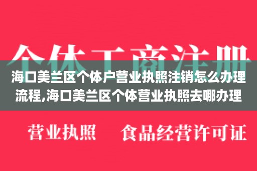 海口美兰区个体户营业执照注销怎么办理流程,海口美兰区个体营业执照去哪办理