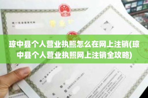 琼中县个人营业执照怎么在网上注销(琼中县个人营业执照网上注销全攻略)