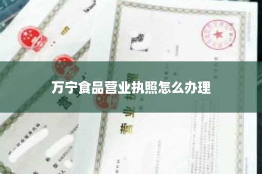 万宁食品营业执照怎么办理