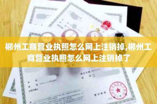 郴州工商营业执照怎么网上注销掉,郴州工商营业执照怎么网上注销掉了