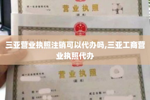 三亚营业执照注销可以代办吗,三亚工商营业执照代办