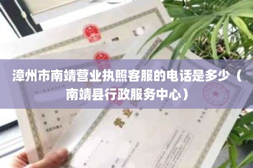 漳州市南靖营业执照客服的电话是多少（南靖县行政服务中心）