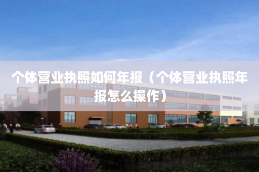 个体营业执照如何年报（个体营业执照年报怎么操作）