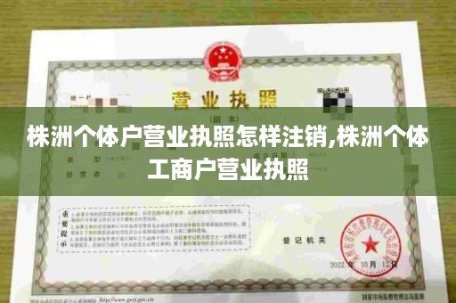 株洲个体户营业执照怎样注销,株洲个体工商户营业执照