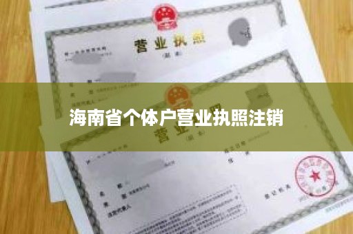 海南省个体户营业执照注销