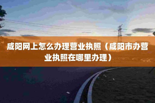 咸阳网上怎么办理营业执照（咸阳市办营业执照在哪里办理）