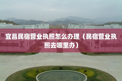 宜昌民宿营业执照怎么办理（民宿营业执照去哪里办）
