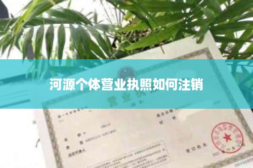 河源个体营业执照如何注销