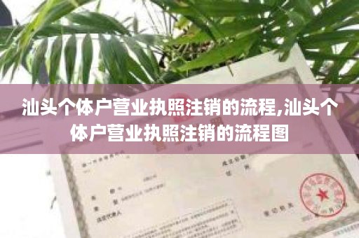 汕头个体户营业执照注销的流程,汕头个体户营业执照注销的流程图