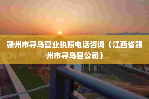 赣州市寻乌营业执照电话咨询（江西省赣州市寻乌县公司）