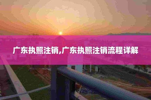 广东执照注销,广东执照注销流程详解