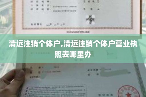 清远注销个体户,清远注销个体户营业执照去哪里办