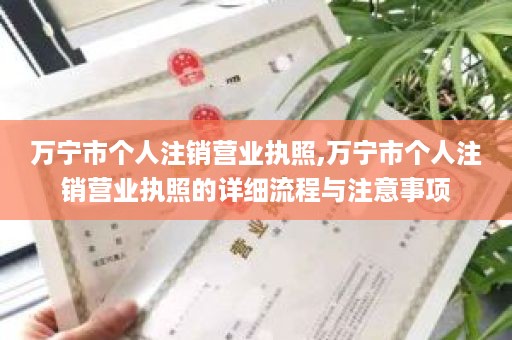 万宁市个人注销营业执照,万宁市个人注销营业执照的详细流程与注意事项