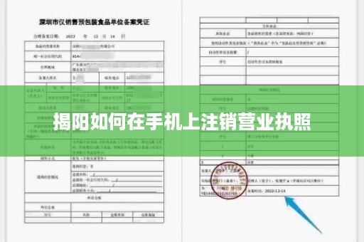 揭阳如何在手机上注销营业执照