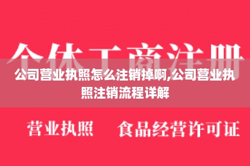公司营业执照怎么注销掉啊,公司营业执照注销流程详解