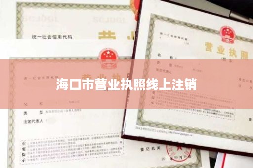 海口市营业执照线上注销