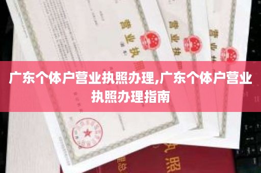 广东个体户营业执照办理,广东个体户营业执照办理指南
