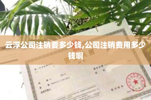 云浮公司注销要多少钱,公司注销费用多少钱啊