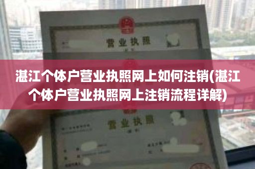 湛江个体户营业执照网上如何注销(湛江个体户营业执照网上注销流程详解)