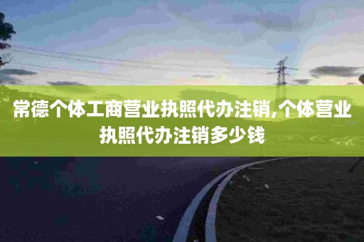 常德个体工商营业执照代办注销,个体营业执照代办注销多少钱