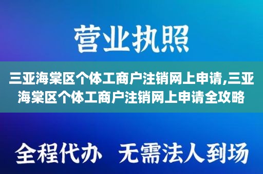 三亚海棠区个体工商户注销网上申请,三亚海棠区个体工商户注销网上申请全攻略