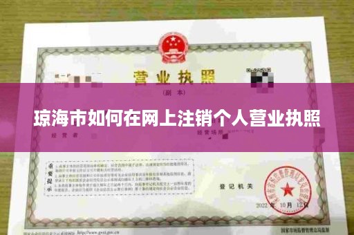 琼海市如何在网上注销个人营业执照