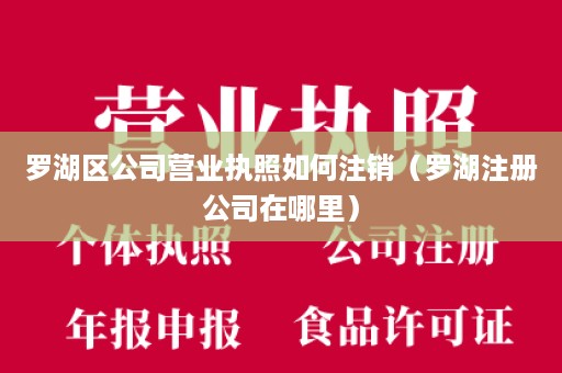 罗湖区公司营业执照如何注销（罗湖注册公司在哪里）