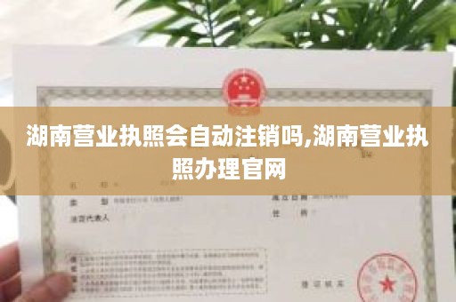 湖南营业执照会自动注销吗,湖南营业执照办理官网